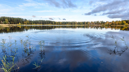 autumn colored trees on the shore of lake with reflections in water