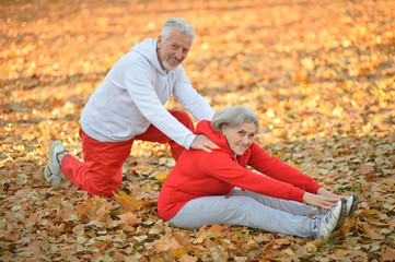 Fototapeta premium senior couple doing exercises