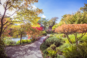 Fototapeta premium Setagaya Park im Herbst
