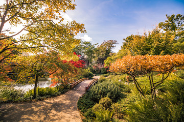 Fototapeta premium Setagaya Park im Herbst