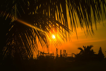 Sunset through out coconut tree  and boat at the beach