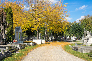 Friedhof im Herbst