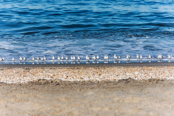 All Lined Up