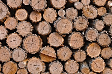 Log wood pile
