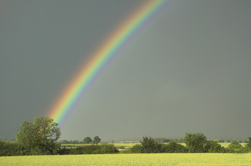 Rainbow and stormy sky over hedgerow