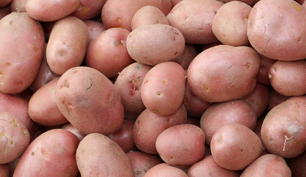 many red potatoes a very valuable quality