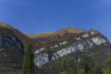 Italy, Lake Como; Tremezzo, woods in autumn.
