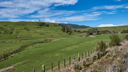 Idyllic countryside in New Zealand