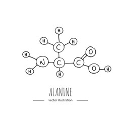Hand drawn doodle Alanine chemical formula icon Vector illustration Cartoon molecule element Sketch amino acid molecular structure Structural scientific formula isolated on white background