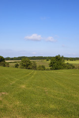 Fototapeta na wymiar hedgerow and hay field
