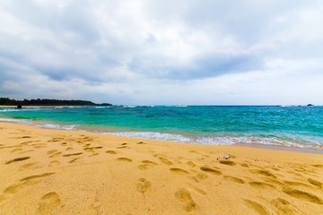 Fototapeta premium Coast (Tomori Coast). I shot in Amami Oshima Kagoshima Prefecture Japan.