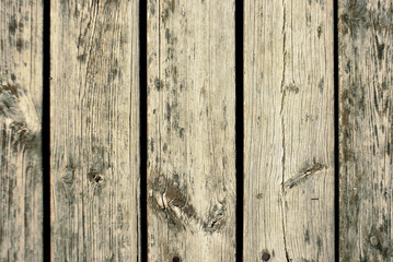 Old wood plank texture background