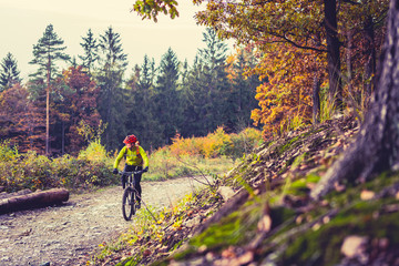 Fototapeta premium Mountain biker riding cycling in autumn forest