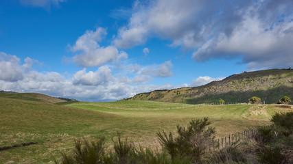 Idyllic countryside in New Zealand