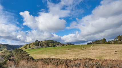 Idyllic countryside in New Zealand