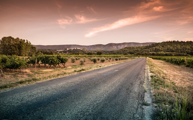 Provence (France) landscape - road, hills, vineyards