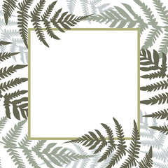 Fern Square white frame vector illustration. Green tropical forest plant leaves decoration background. Ferns drawing, tropical forest herbs, fern frond grass round border.