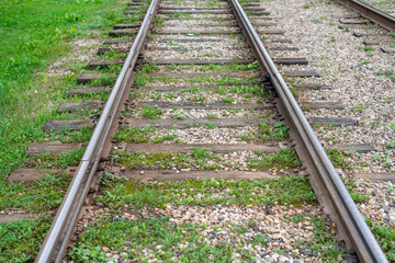Old tram rails, close-up, summer autumn, between sleepers grass, gravel and stones in city.