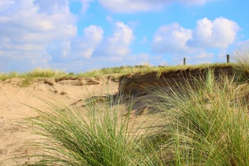 Dünenlandschaft