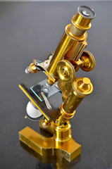Vintage Brass Microscope

