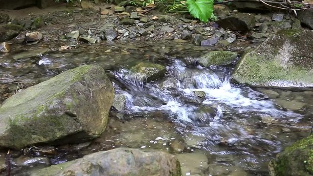 Beautiful nature background with stream in the forest