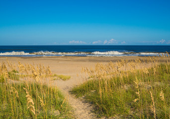 Sand dunes at the ocean cost
