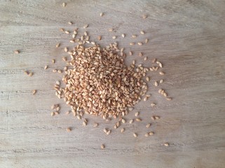 Graine de sésames 