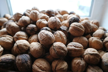 hazelnut