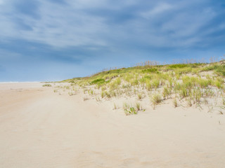 Sand dunes at the ocean cost