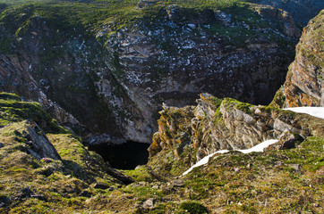 Arctic landscape: a canyon, rocks, gulls sit on rocks, a bird market