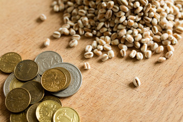 Grain with Polish coins