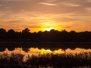 Obraz premium stunning bright autumn harvest sun set scene over lake water reflection reed silhouette
