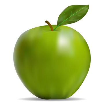The image of the green apple