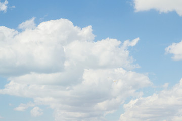 Bird Albatross is flying in the blue sky with white clouds