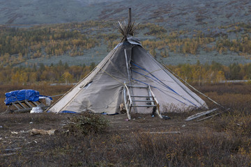 The lone tent of reindeer with sleds. Polar Urals. Russia.