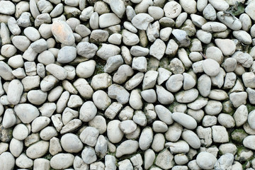 Pebble or Cobble stone natural white Textured background