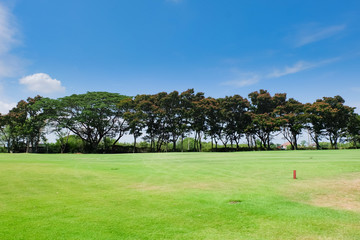 Fototapeta na wymiar Landscape Wide green lawns and a blue sky, golf courses
