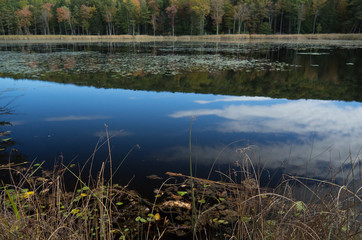 CLose Up, reflections, Fountain Lake