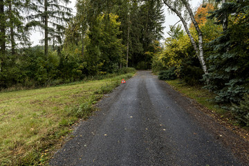 a narrow road into the forest between the fields and the red road sign