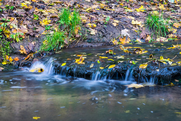 Small brook in autumn park