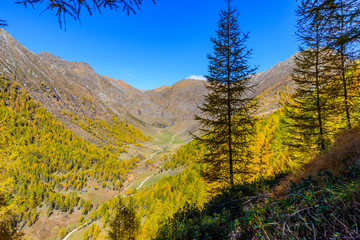 Obraz premium Altfasstal im Herbst