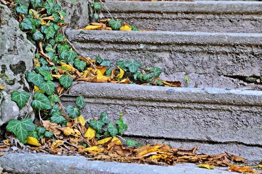 Treppe
