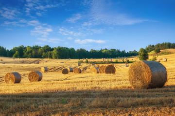 Haystacks on the field. Summer, rural landscape. - obrazy, fototapety, plakaty