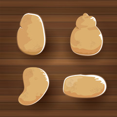 vector funny cartoon cute brown sweet potatoes set flat lay on wooden table background. potato label design . top view