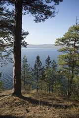 Obraz premium Autumn forest