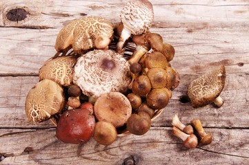 Forest Edible Mushrooms In Wicker Basket On Old Wooden Board Top