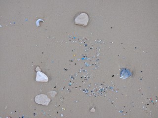 Ocean Plastic- environment 