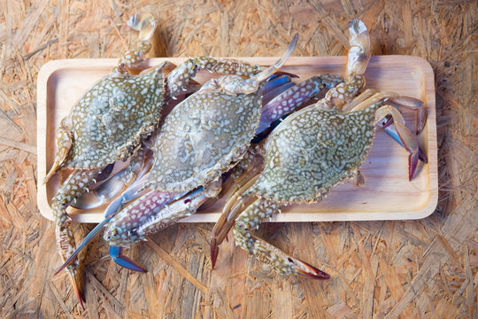Fresh Blue Crabs On Wood Tray
