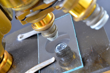 Vintage Brass Microscope

