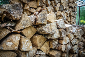 Firewood stacked in huge piles in hothouse
